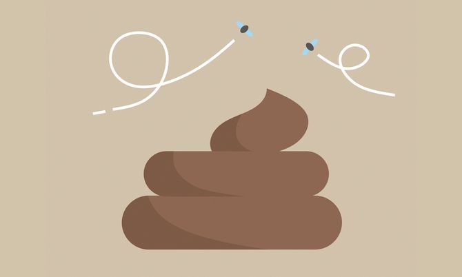 ฝันว่าเหยียบขี้หมา เลขเด็ด - "Dreaming of stepping on dog poop, lucky number."