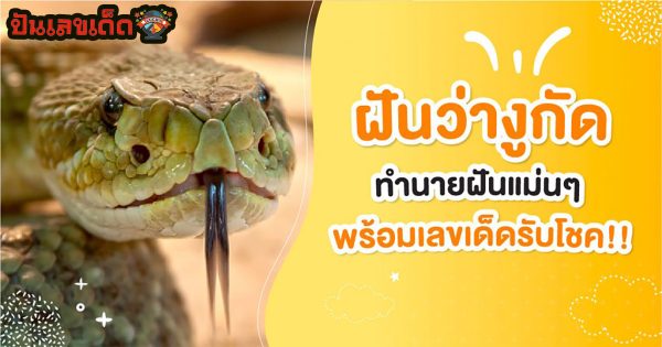 ฝันว่างูกัดแขน ฝันว่าโดนงูกัด ฝันว่าโดนงูกัดขา มีคำทำนายดีหรือไม่ดี พร้อมเลขให้โชค