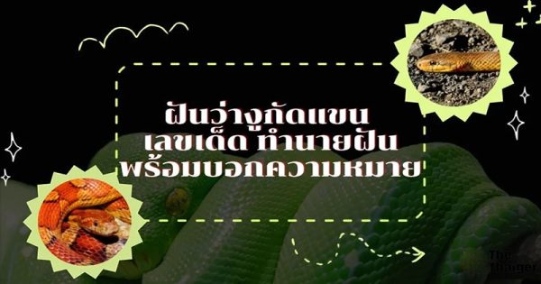 ฝันว่างูกัดแขน-"Dreaming that a snake bit your arm"