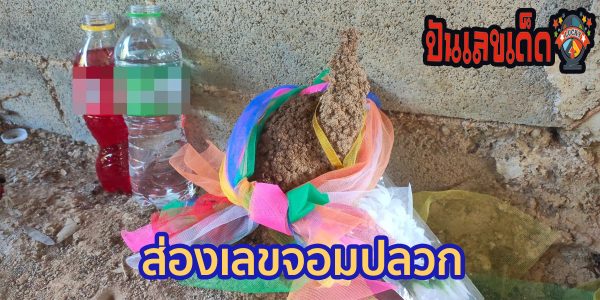 ส่องเลขจอมปลวก ส่องเลขเด็ดจอมปลวกคล้ายพญานาค เจ้าของบ้านบอก ให้โชคมาแล้วหลายงวด เลขเด็ดเเม่น ๆ ที่นี่ punlekded