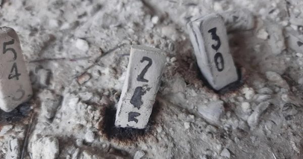 เลขเด็ด - "Lucky number"