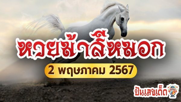 ม้าสีหมอก 2 5 67 แนวทางหวยรัฐบาลไทย งวด 2/05/67 นี้ คอหวยห้ามพลาด ! ติดตามเลขเด็ดได้ที่นี่ !