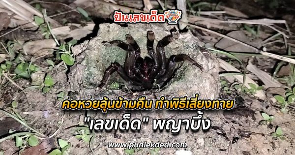 คอหวยลุ้นข้ามคืน ทำพิธีเสี่ยงทาย “เลขเด็ด” พญาบึ้ง หวังลุ้นโชค ถูกหวย ต้อนรับรับสงกรานต์ ปี2567