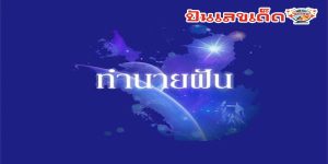 ฝันเห็นแร้งบิน-"Dream of seeing a flying vulture"
