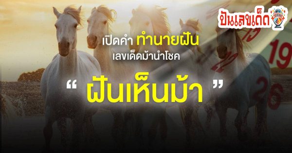 เปิดตำรา ทำนายฝัน ฝันเห็นม้า ฝันว่าม้าวิ่งไล่ มีความหมายอย่างไร เป็นฝันดีหรือฝันร้าย  พร้อมแจก เลขเด็ดม้านำโชค
