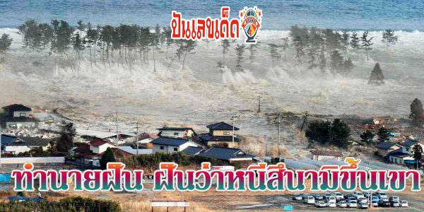 ฝันว่าหนีสึนามิขึ้นเขา ความฝันนี้ มีความหมายว่าอย่างไร พร้อมแนวทางเลขเด็ด แม่น ๆ เช็กเลยที่นี่ !!