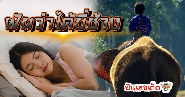 ฝันว่าได้ขี่ช้าง หมายความว่าอย่างไร พร้อมเลขเด็ด แม่นๆ ที่เกี่ยวกับความฝัน เช็กเลย!