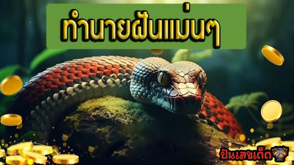 ฝันเห็นงูใหญ่1 ตัว-"Dream of seeing a big snake"
