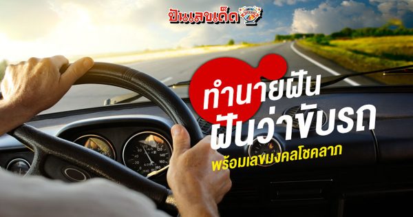 ฝันว่าขับรถหลงทาง ฝันว่าขับรถ ทำนายฝัน ตีหวย โชคลาภ พร้อมบอกความหมาย