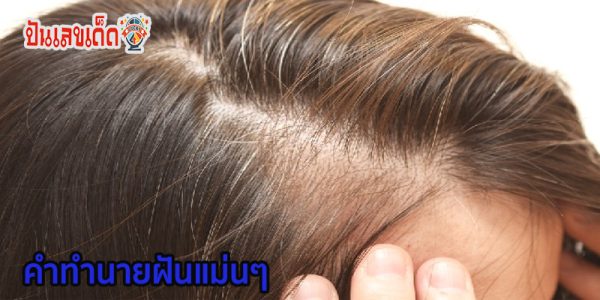 ฝันว่าได้ถอนผมหงอกเลขเด็ด-"Dreaming of pulling out gray hair, lucky number"