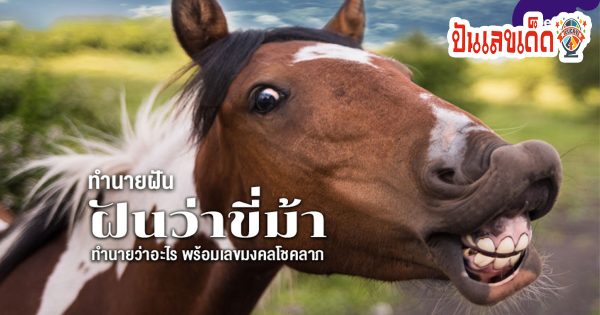 ฝันว่าขี่ม้า-"Dreaming of riding a horse"