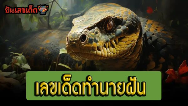 ฝันเห็นงูใหญ่ เลขเด็ด-"Dreaming of seeing a big snake, lucky numbers"
