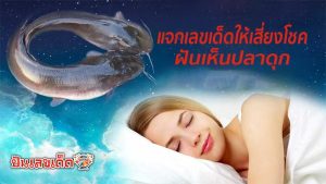 ฝันเห็นปลาดุกเลขเด็ด-"Dreaming of seeing catfish, lucky numbers"