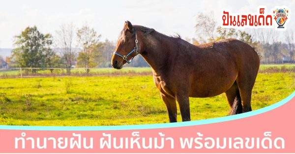 ฝันเห็นม้า-"Dreaming of riding a horse"