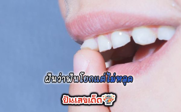 ฝันว่าฟันโยกแต่ไม่หลุด - "Dreaming - that your teeth are loose but not falling out"