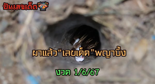 มาแล้ว เลขพญาบึ้งงวดล่าสุด คอหวยไม่ผิดหวังได้ “เลขเด็ด” ไปเสี่ยงโชคงวด 1/6/67