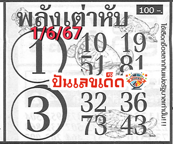 เลขพลังเต่าหับ 1 6 67 -"Lucky numbers from the power of the turtle"