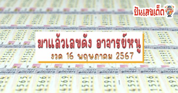 มาแล้ว เลขอาจารย์หนู แนวทางหวยรัฐบาลไทย แม่นๆ งวดวันที่ 16 พ.ค.67  คอหวยห้ามพลาด ! ติดตามเลขเด็ดได้ที่นี่ ! ปันเลขเด็ด
