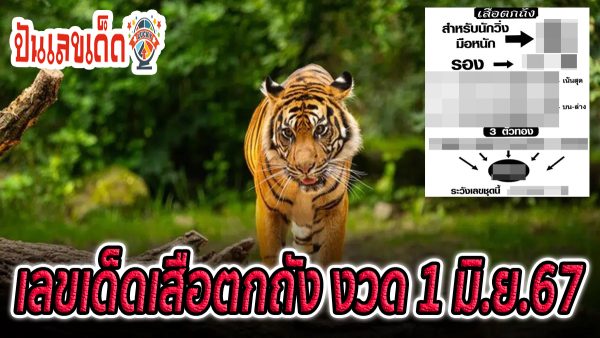 เสือตกถัง 1 6 67 แนวทางหวยรัฐบาลไทย แม่นๆ งวดวันที่ 1 มิ.ย.67  คอหวยห้ามพลาด ! ติดตามเลขเด็ดได้ที่นี่ ! ปันเลขเด็ด