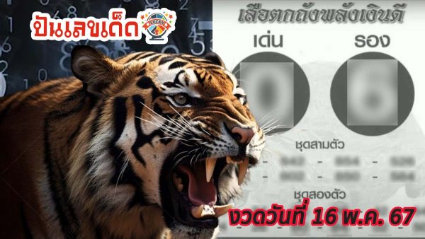 คอหวยห้ามพลาดส่องเลขเด็ด เสือตกถัง 16 5 67  แนวทางหวยรัฐบาลไทยแม่นๆ รีบจดด่วน!!