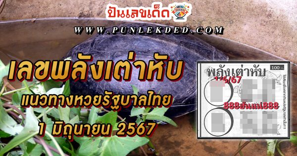 หวยเด็ด หวยดัง “เลขพลังเต่าหับ” แนวทางหวยรัฐบาลไทย งวด 1 มิ.ย. 67 นี้ คอหวยห้ามพลาด ! ติดตามเลขเด็ดได้ที่นี่ ! ปันเลขเด็ด