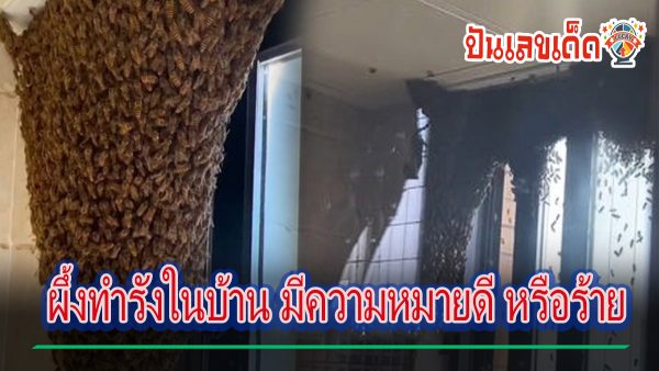 ผึ้งทำรังในบ้าน มีความหมายดี หรือร้าย ตามความเชื่อโบราณ พร้อมตีเลขเด็ดแม่นๆ ได้ที่นี่ punlekded.com