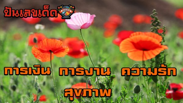 ดูดวงรายวัน ความรัก-"Daily horoscope love"