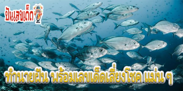 ฝันเห็นปลาเลขเด็ด-"Dream of seeing lucky fish"