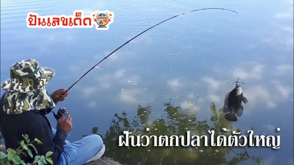ฝันว่าตกปลาได้ตัวใหญ่-"Dreamed of catching a big fish."