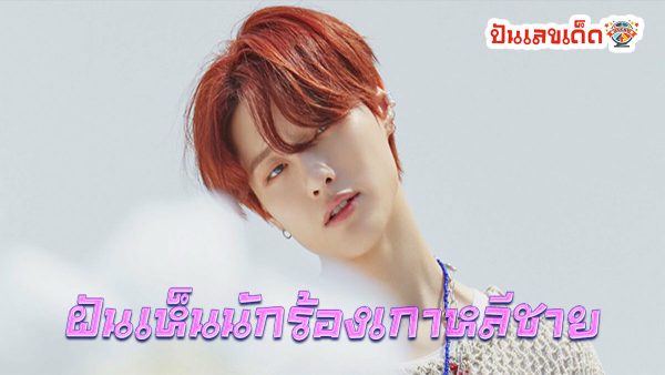 ฝันเห็นนักร้องเกาหลีชาย หมายความว่าอย่างไร พร้อมเลขเด็ด แม่นๆ ที่เกี่ยวกับความฝัน เช็กเลย!