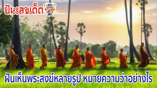 ฝันเห็นพระสงฆ์หลายรูป หมายความว่าอย่างไร คำทำนายฝันตามตำราโบราณ พร้อมเลขให้โชค ไปหาคำตอบด้วยกันที่นี่ ปันเลขเด็ด