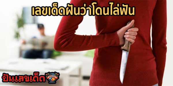 ฝันว่าโดนไล่ล่า-"Dreaming of being chased"