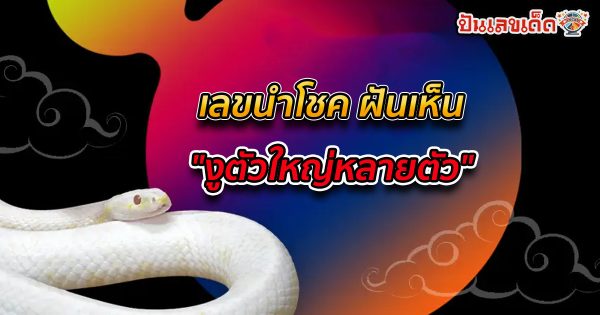 ฝันเห็นงูตัวใหญ่หลายตัว-"Dreamed of seeing many large snakes"