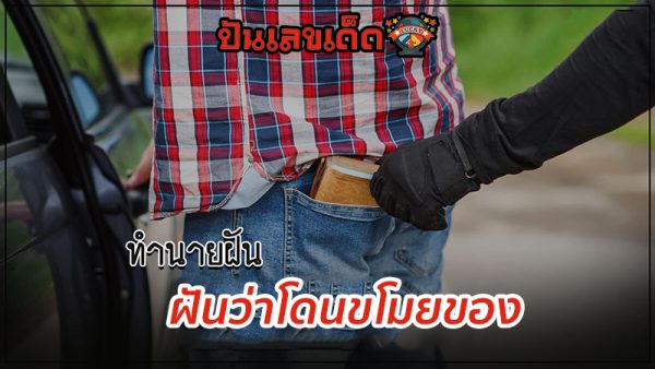 ฝันว่าโดนขโมยของ-"Dreaming of stealing money"