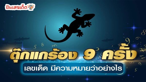 ตุ๊กแกร้อง 9 ครั้งเลขเด็ด โชคดีหรือโชคร้าย ตีเลขเด็ดตามความเชื่อโบราณ