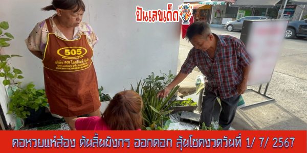 คอหวยแห่ส่อง “ต้นลิ้นมังกร” ออกดอก หลังงวดที่แล้ว “เลขเด็ด” ให้โชคเจ้าของบ้าน งวดวันที่ 1 / 7 / 2567
