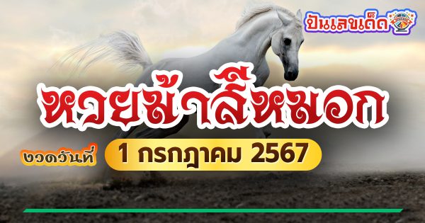 ม้าสีหมอก 1 7 67 แนวทางหวยรัฐบาลไทย คอหวยห้ามพลาด ! ติดตามเลขเด็ดได้ ที่นี่ punlekded