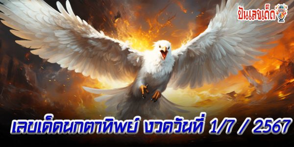 นกตาทิพย์ 1 7 67 แนวทางหวยรัฐบาลไทยแม่นๆ คอหวยห้ามพลาดส่องเลขเด็ด  รีบจดด่วน !!