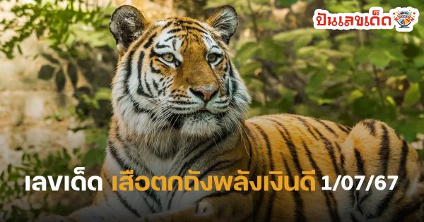 เสือตกถังพลังเงินดี 1 7 67 แนวทางหวยรัฐบาลไทย คอหวยห้ามพลาด ! ติดตามเลขเด็ดได้ ที่นี่ punlekded