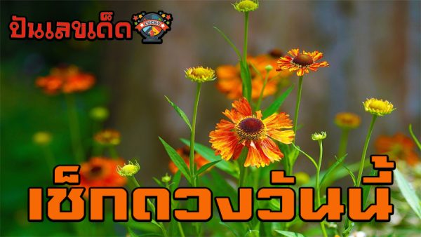ดูดวงรายวัน 6/06/67-"Daily horoscope 6/06/67"