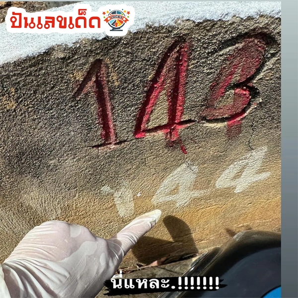 ล้างป่าช้า 2567-"Clean up the cemetery 2024"