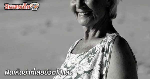 ฝันเห็นย่าที่เสียชีวิตไปแล้ว-"Dreamed of seeing my grandmother who had died."