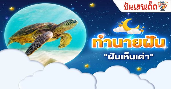 ฝันเห็นเต่า 1 ตัวใหญ่-"Dreamed of seeing a big turtle"