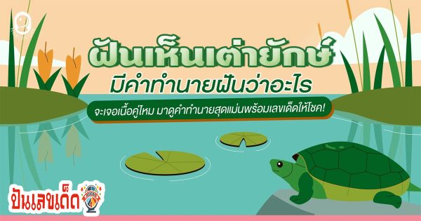 ฝันเห็นเต่ายักษ์ ฝันเกี่ยวกับเต่า มีคำทำนายฝันว่าอะไร จะเจอเนื้อคู่ไหม พร้อมส่องเลขเด็ด!