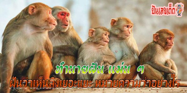 ฝันเห็นลิงเยอะแยะ หมายความว่าอย่างไร พร้อมตีเลขเด็ดจากความฝัน จะมีโชคหรือไม่ ทำนายฝันสุดแม่นได้ที่นี่ !!
