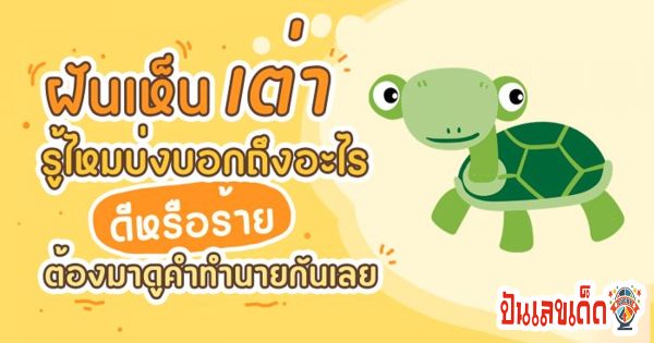ฝันเห็นเต่ายัก-"Dream of seeing a giant turtle"