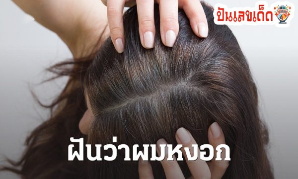 ฝันว่าหงอกเต็มหัว -"Dreaming of a head full of gray hair"