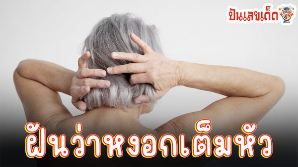 ฝันว่าหงอกเต็มหัว ทำนายว่าอย่างไร? พร้อมตีเลขเด็ด ตามความฝัน ดูคำทำนาย แม่น ๆ ได้ที่นี่ punlekded