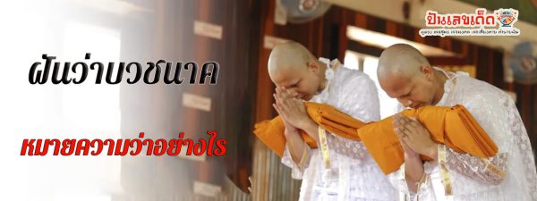 ฝันว่าบวชนาค-"Dreaming of being ordained"