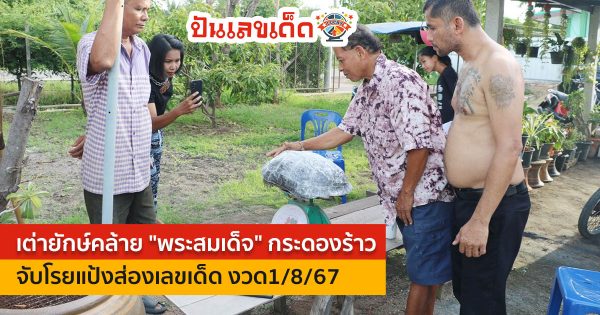 เชื่อให้โชค! เต่ายักษ์คล้าย “พระสมเด็จ” กระดองร้าว คลานเข้าบ้าน จับโรยแป้งส่องเลขเด็ด ลุ้นรวยงวด 1/8/67